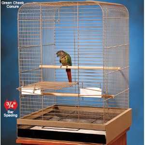  Model 124 Bird Cage Color Putty