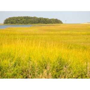 Canoeing the Sloughs and Waterways of Long Island Sound, The Hamptons 