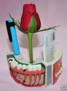 Denture model card pen holder Dental Emporium  