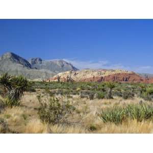 Red Rock Canyon, Spring Mountains, 15 Miles West of Las Vegas in the 
