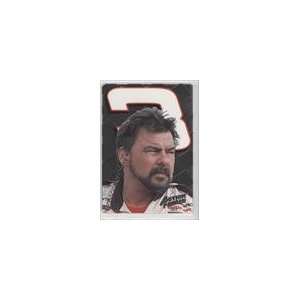   Richard Childress Racing #RCR13   Danny Myers Sports Collectibles