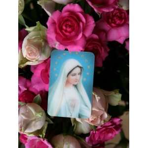  Picture of the Virgin Mary with Roses, Paris, France 