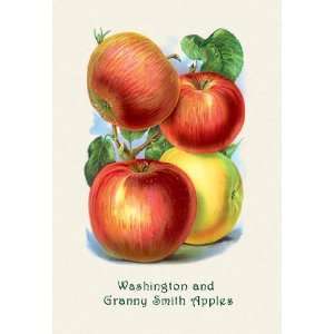  Washington and Granny Smith Apples 12x18 Giclee on canvas 
