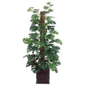  3 Deluxe Split Philodendron Plant on Pole