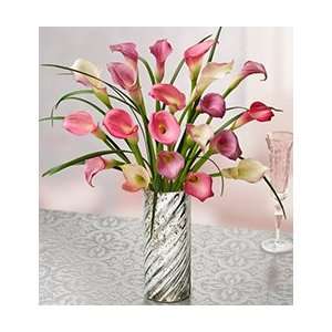 Flowers by 1800Flowers   Sophisticated Elegance Calla Lilies, 20 Stems