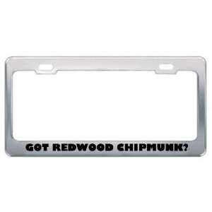 Redwood Chipmunk? Animals Pets Metal License Plate Frame Holder Border 