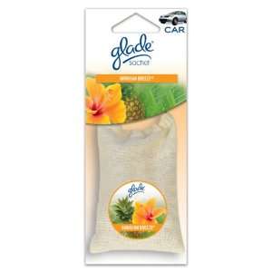   Hanging Car and Home Air Freshener, Hawaiian Breeze Scent Automotive
